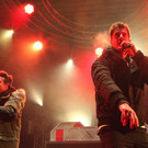 IMG_2266.jpg