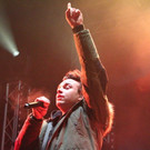 IMG_2268.jpg