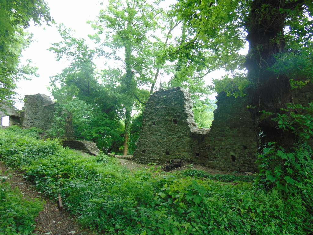 DSC02373.JPG