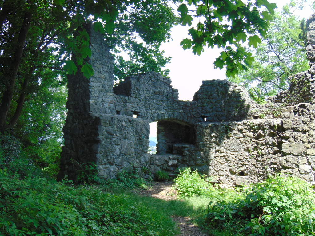 DSC02502.JPG