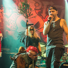 Alkbottle - 17_12_2016 _248 von 244_.jpg