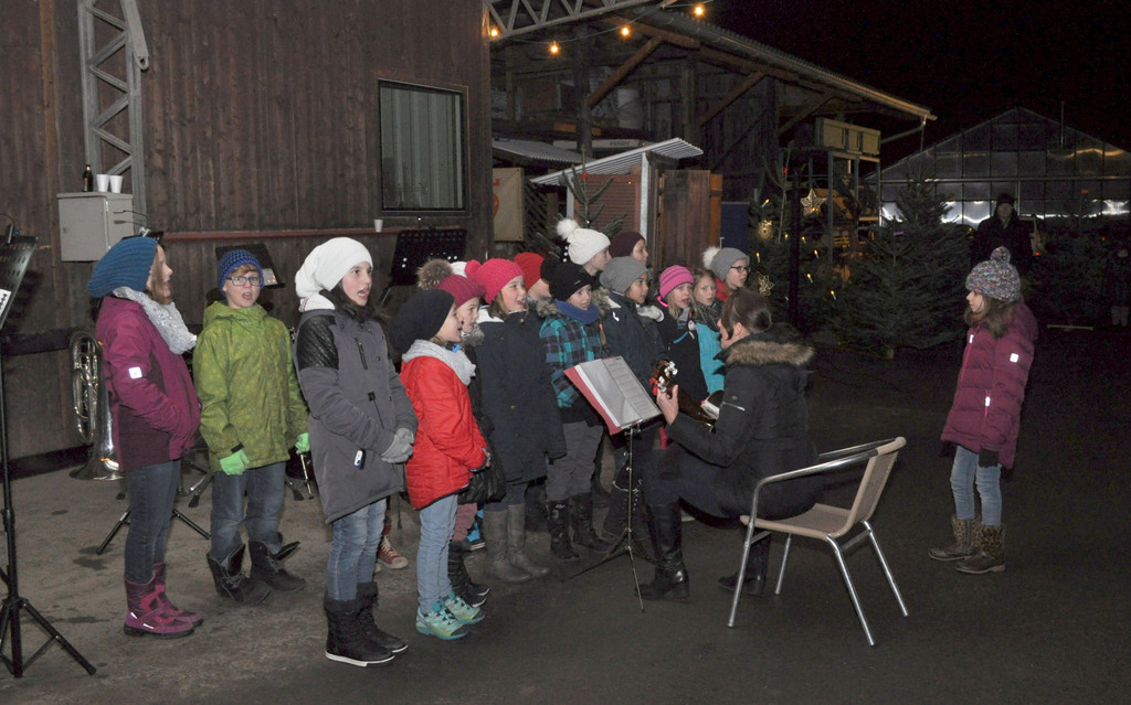 DSC_0201 Sch__erchor gut.jpg