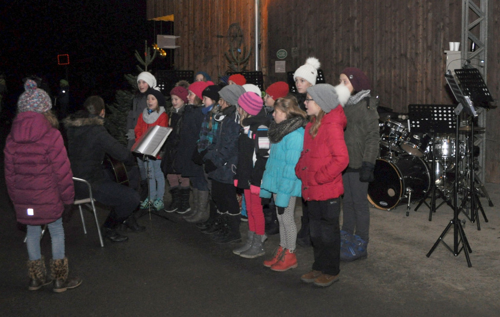 DSC_0202 Sch__lerchor von rechts.jpg