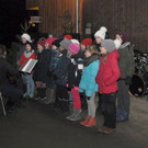 DSC_0202 Sch__lerchor von rechts.jpg