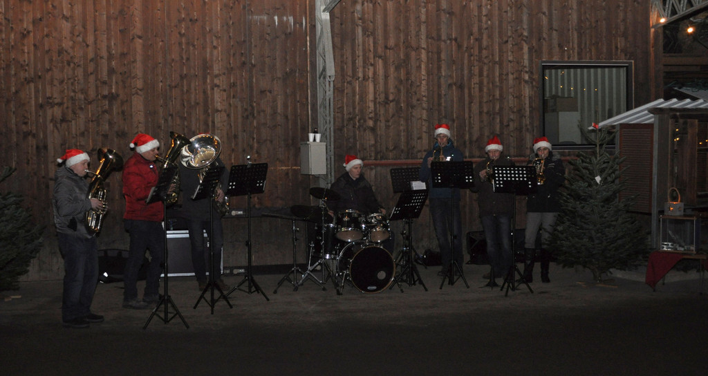 DSC_0212 Musikgruppe.jpg