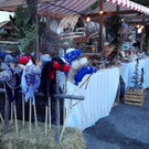 Buchebrunnen 041216_11.jpg