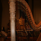 IMG_7256.JPG