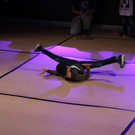 IMG_2250.JPG