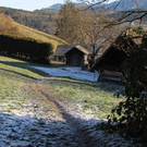 IMG_6435.JPG