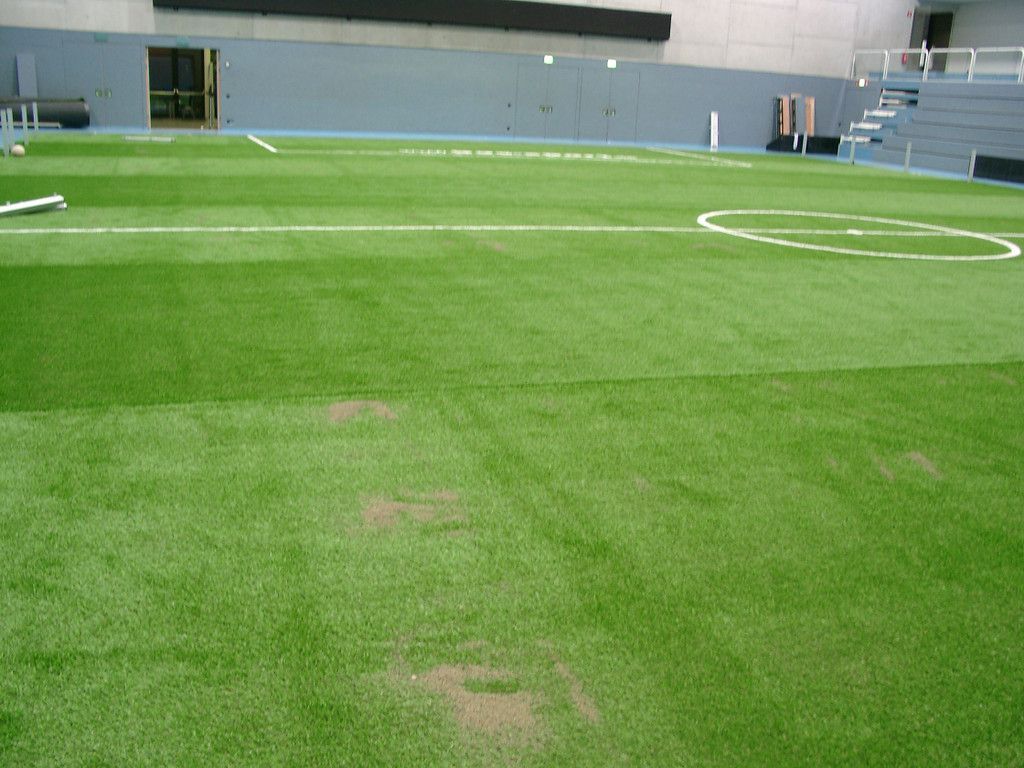 01013795.JPG