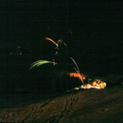 Silvester10.jpg