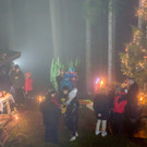 Waldweihnacht 2016