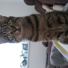 Lenny