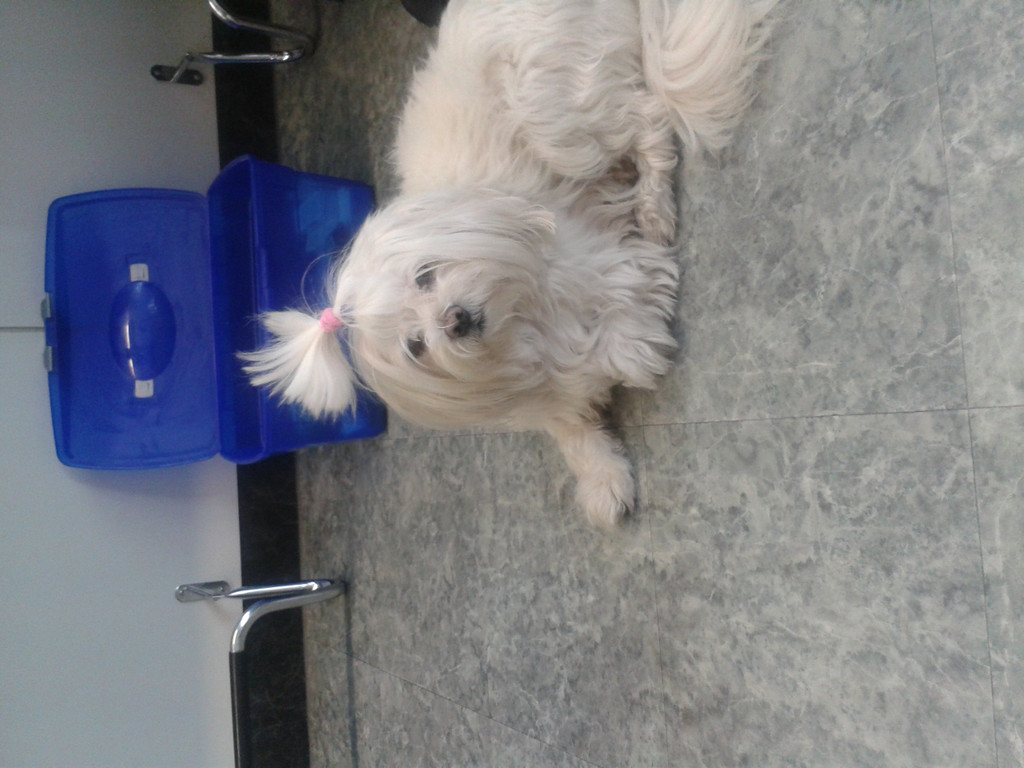 20130406_131839.jpg
