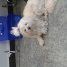 20130406_131839.jpg