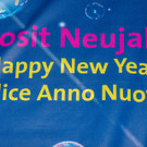 Wiener Silvesterpfad 2016 - 2017  31_12_2016 _19 von 26_.jpg