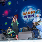 Wiener Silvesterpfad 2016 - 2017  31_12_2016 _34 von 26_.jpg
