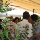 IMG_4977_jpg-1278072176