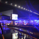 Turkey_Attack_34715.jpg