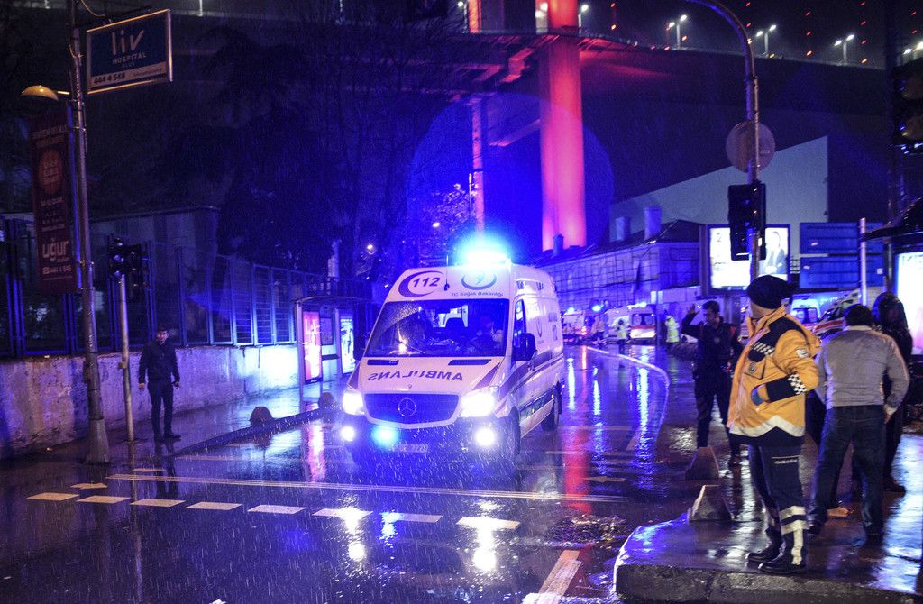 Turkey_Attack_44526.jpg