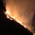 Waldbrand Muttersberg 1.jpg