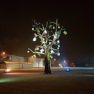 Lustenau_001.jpg