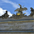file6qgg59cr8081ioxq1dlg.jpg