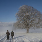 Brederis im Wintermärchen