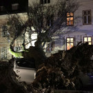 Baum entwurzelt und auf Auto gestürzt