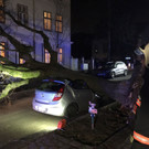 Bild 2.jpg