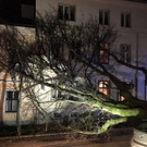 Bild 3.jpg