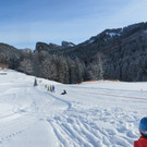 IMG_2428.JPG