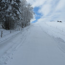IMG_2484.JPG