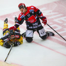 Capitals gegen Innsbruck: Bilder vom Spiel