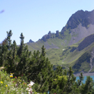 P1010024 - Kopie_JPG-1278086493