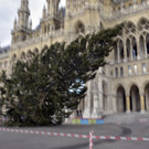 Christbaum am Rathausplatz gefällt
