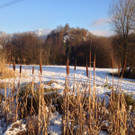 Ried im J__nner.jpg