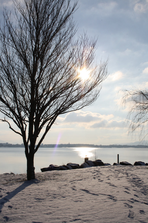 Dreik__nigslauf am See 06-01-2017 _19_.JPG