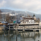 Dreik__nigslauf am See 06-01-2017 _16_.JPG