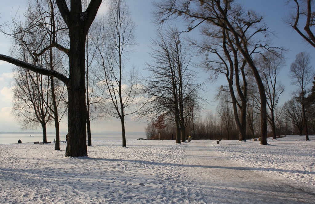 Dreik__nigslauf am See 06-01-2017 _15_.JPG