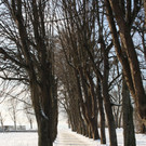 Dreik__nigslauf am See 06-01-2017 _13_.JPG
