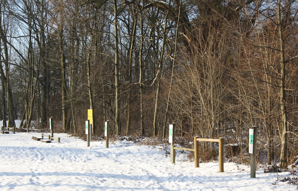 Dreik__nigslauf am See 06-01-2017 _14_.JPG