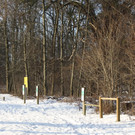 Dreik__nigslauf am See 06-01-2017 _14_.JPG