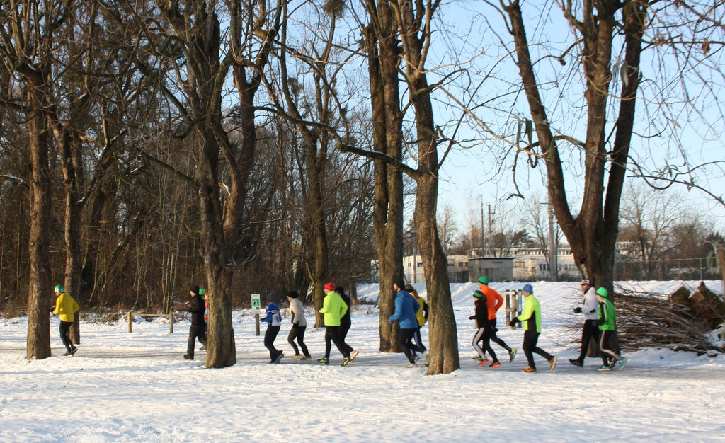 Dreik__nigslauf am See 06-01-2017 _11_.JPG