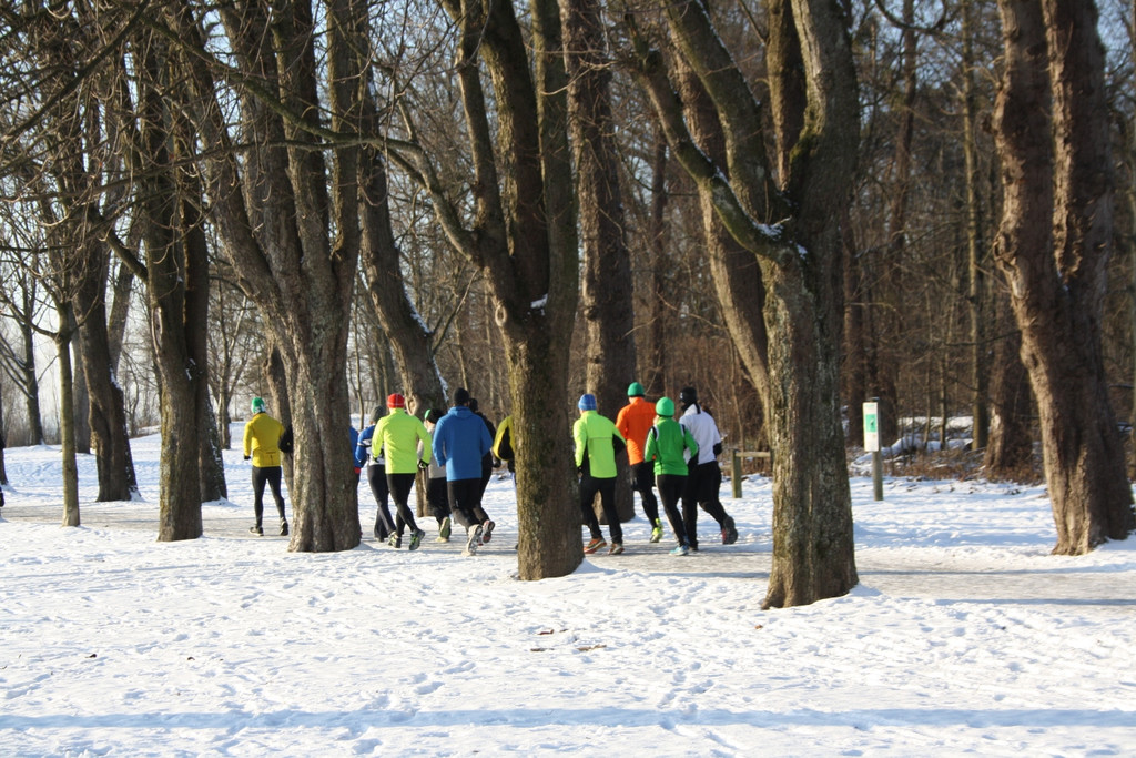 Dreik__nigslauf am See 06-01-2017 _12_.JPG