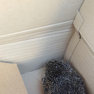 20161202_141055.jpg