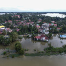 AFP_JM8NT.jpg