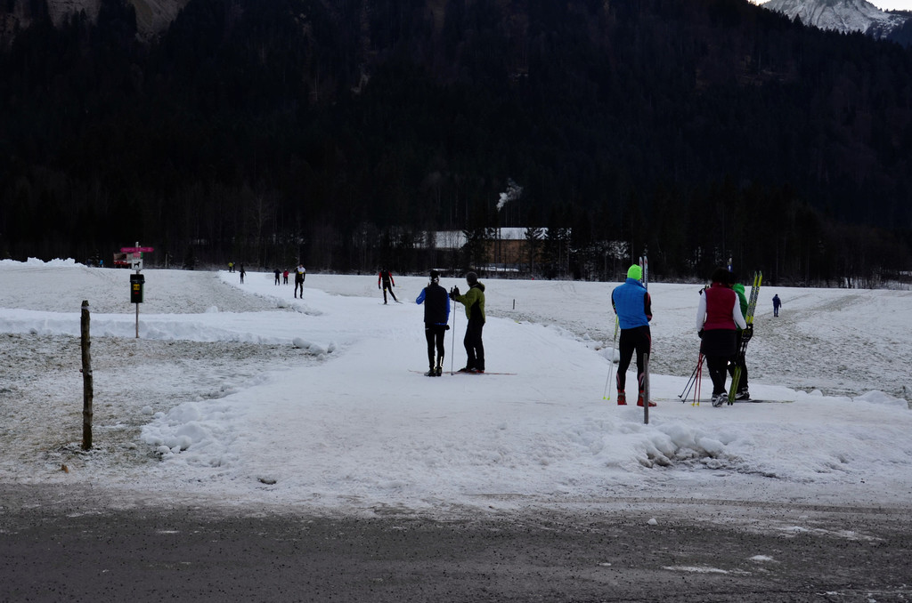 _DSC8005.JPG