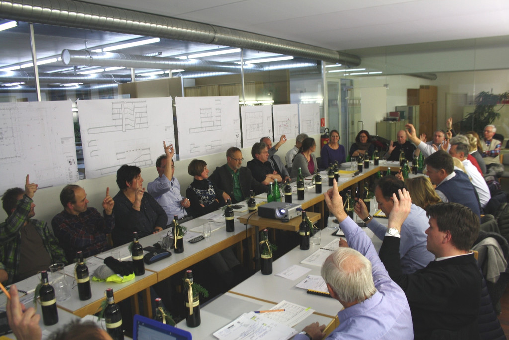 GV Sitzung A Budget Beschluss 15-12-2016 _8_.JPG