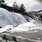 AFP_JO7B3.jpg
